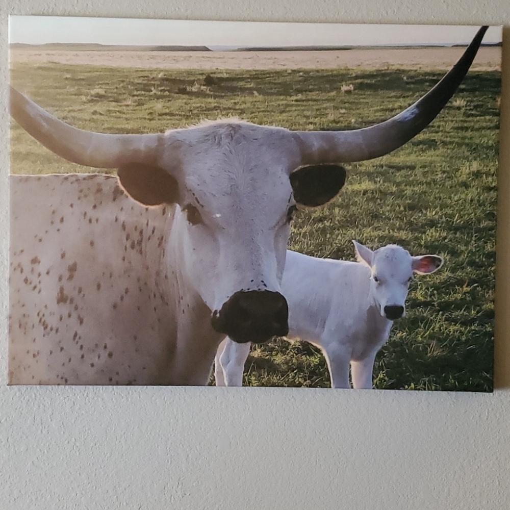18x24 Canvas